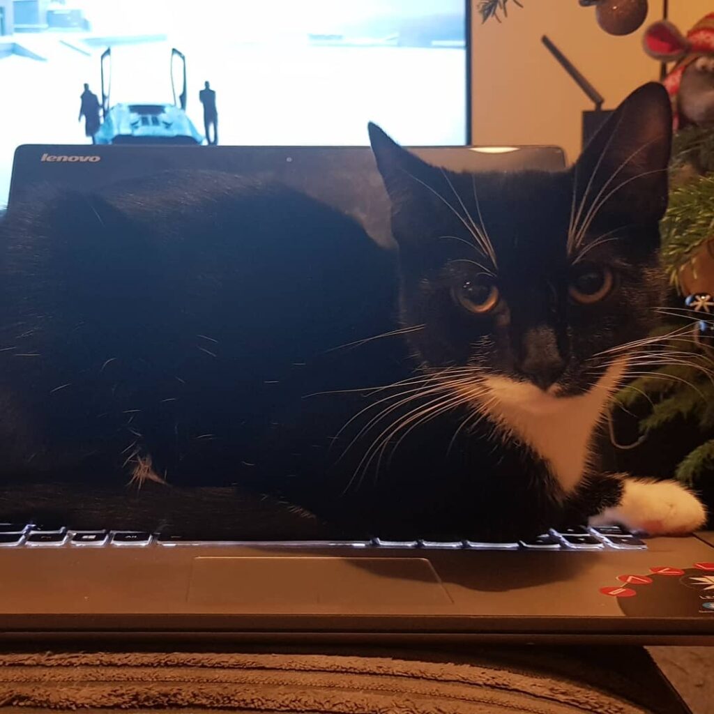 Am I interrupting something? . . . . . . . . . . #