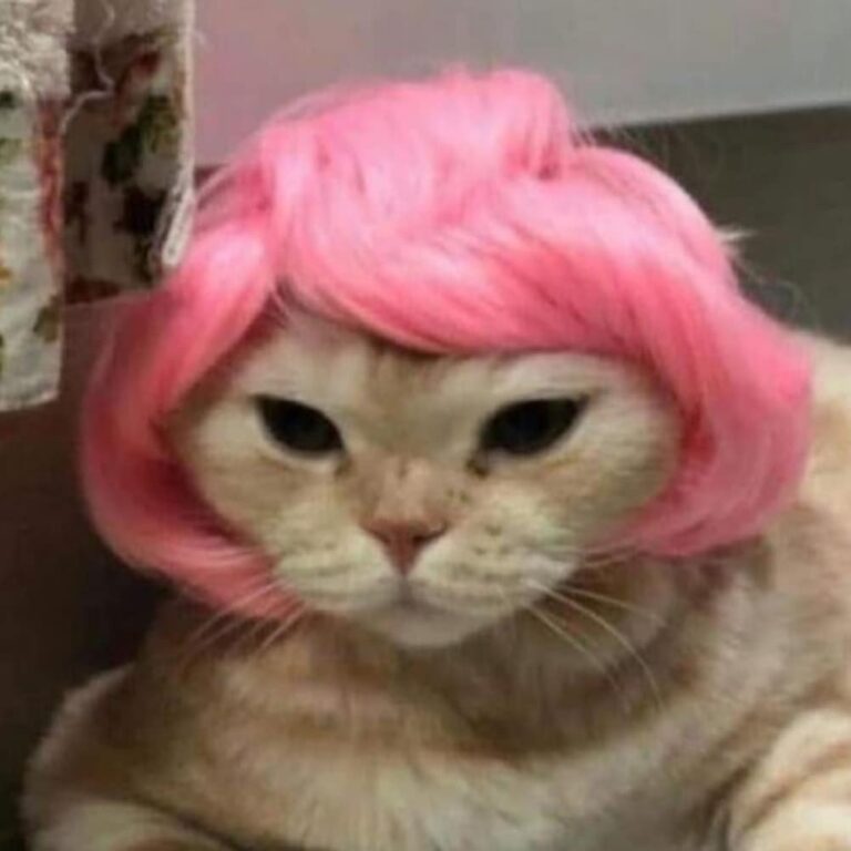 Barbara • • • • • • • • •