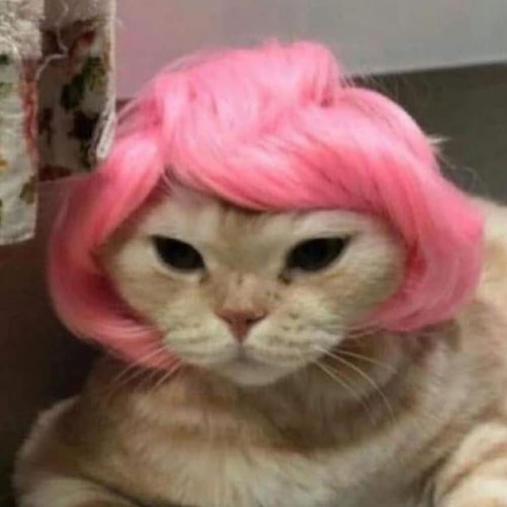 Barbara • • • • • • • • •