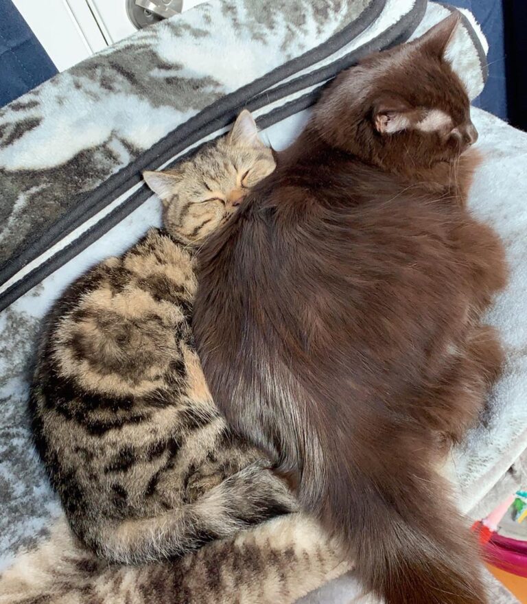 Best friends.