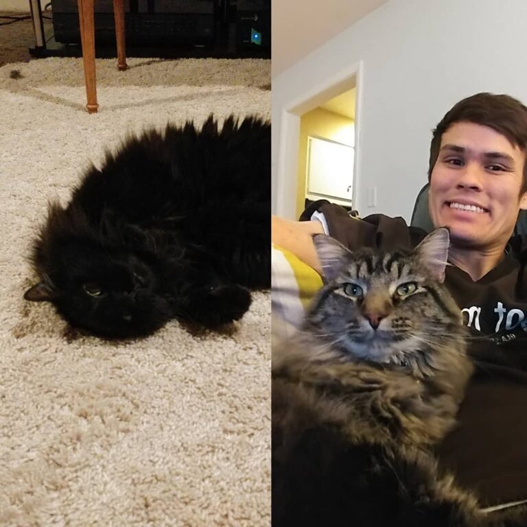 Betty and greystoke being adorable.