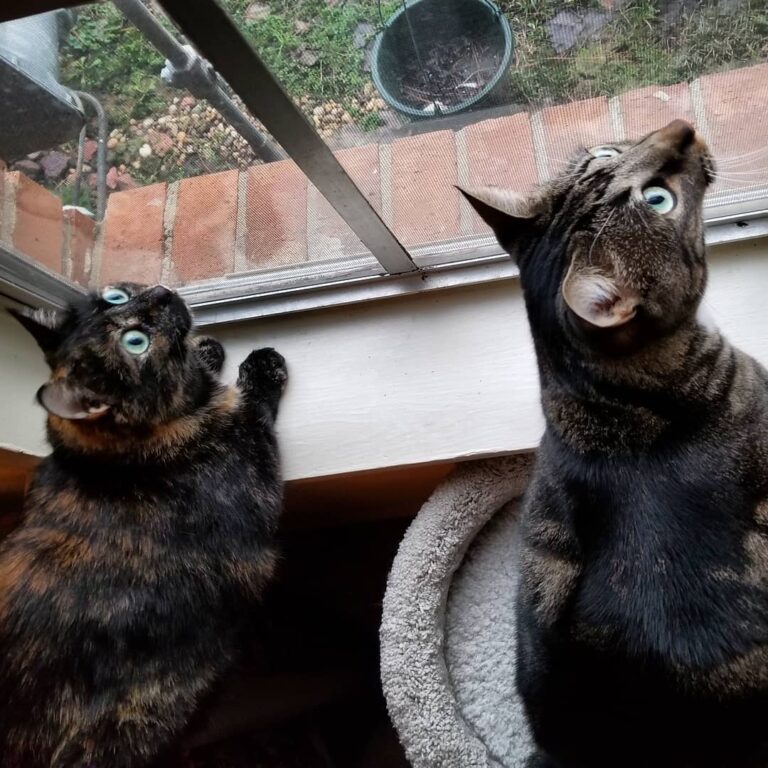 Birds bring these two together.