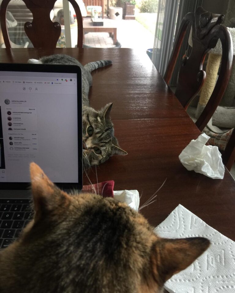 Breakfast with Lily and Charlie