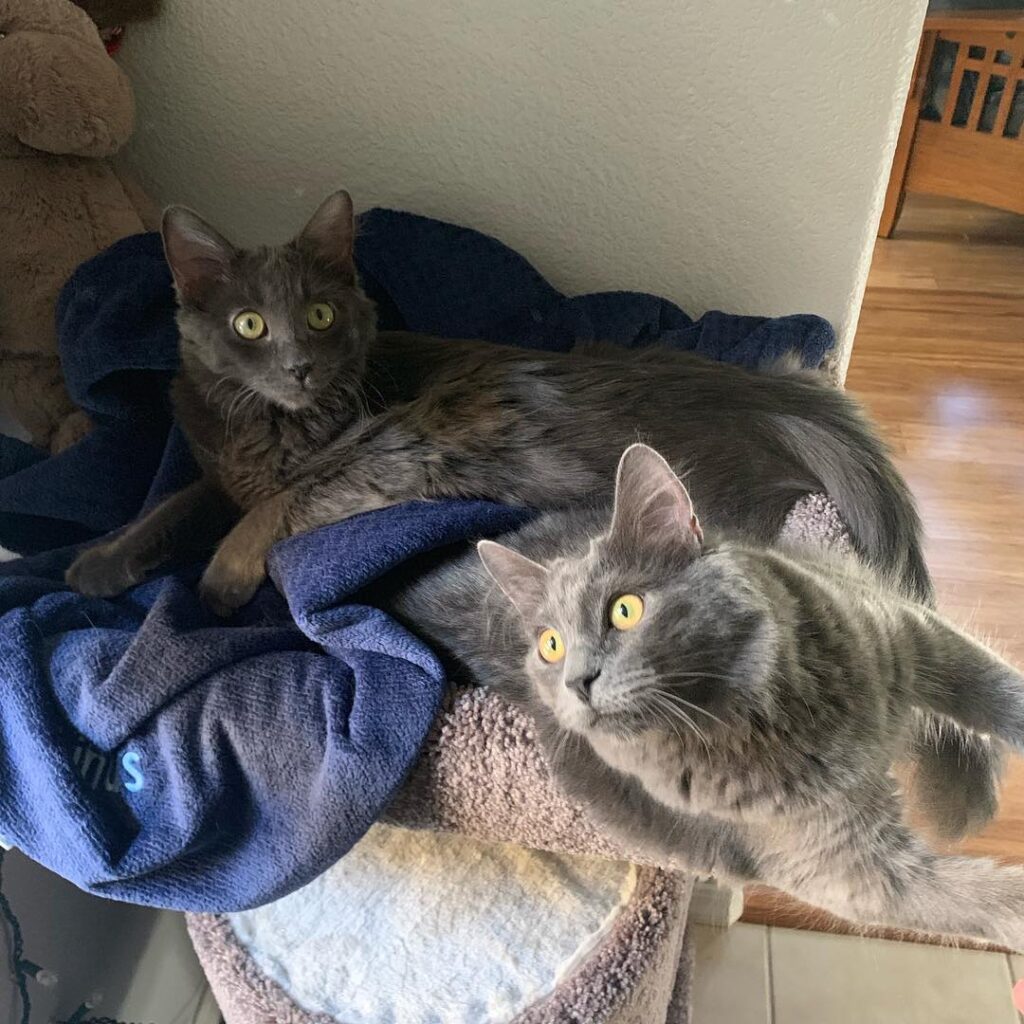 Brother cuddles