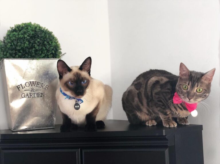 Brother & sister