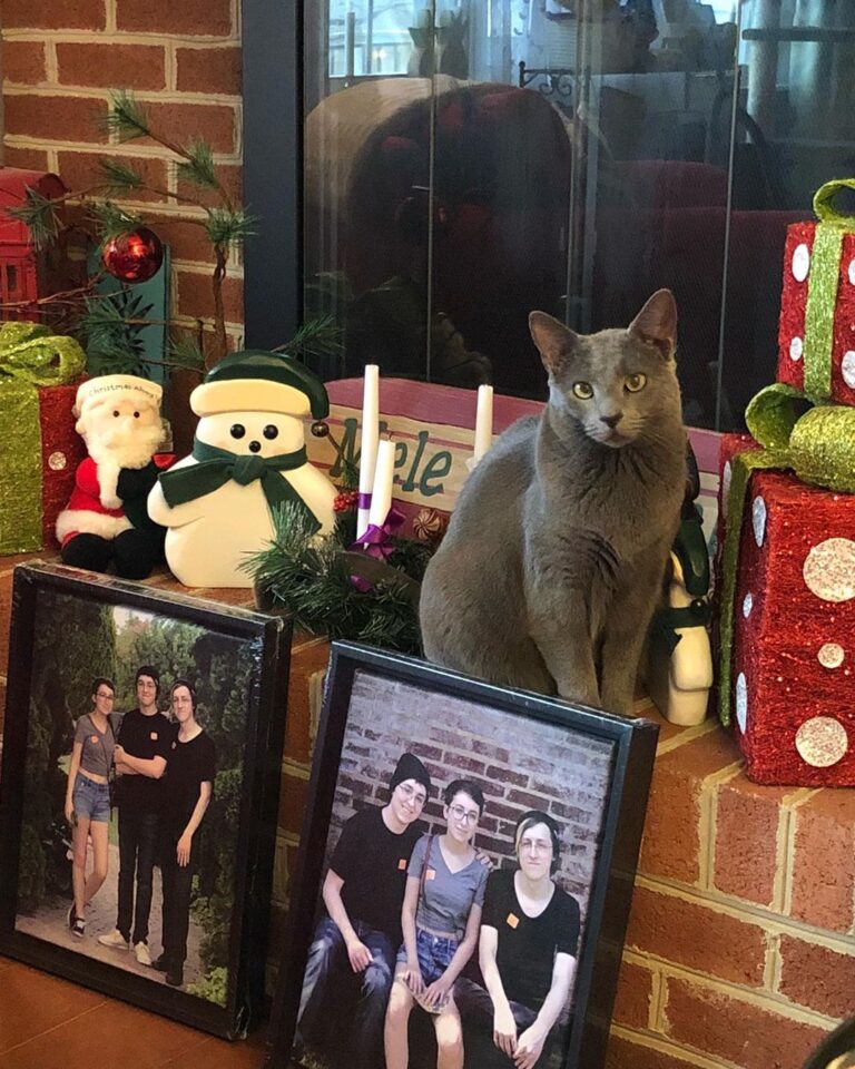 Calypso is guarding the new 11×14 prints of her humans. Beautiful