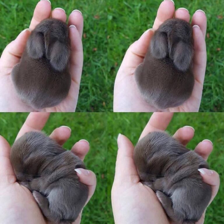Cute or not? FOLLOW . .