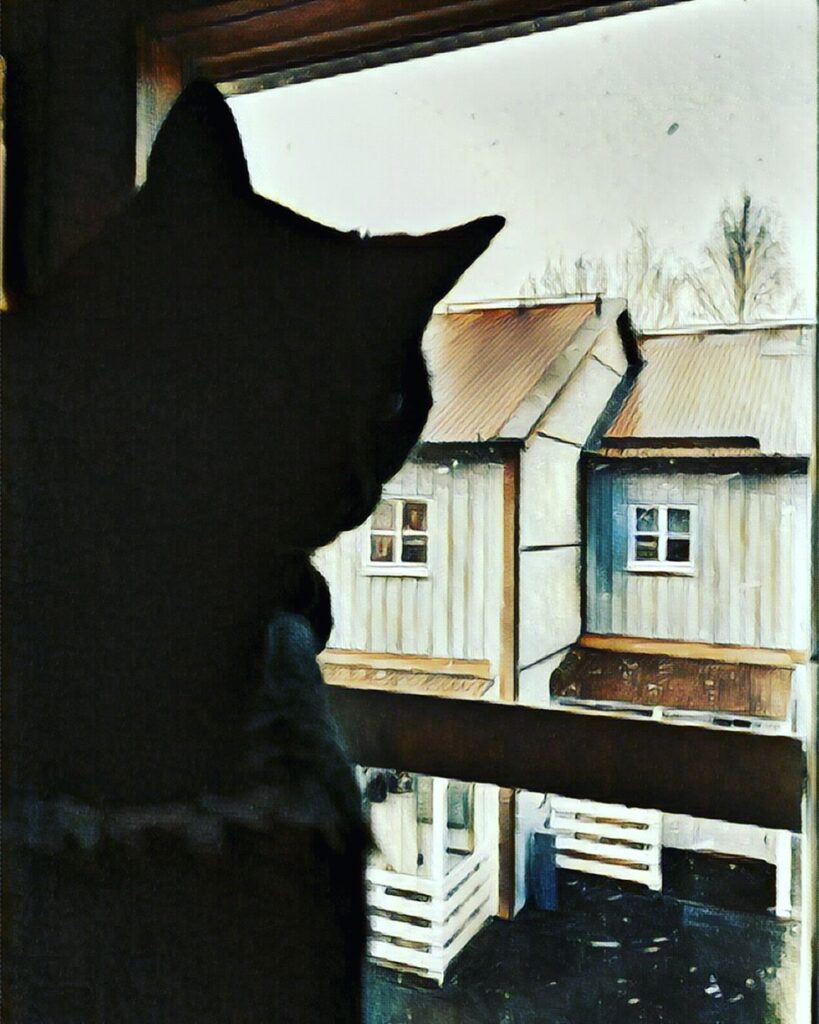 Cute Cat Moment