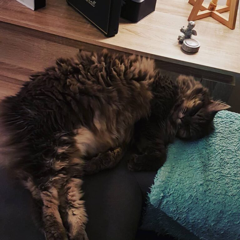 Dure vie