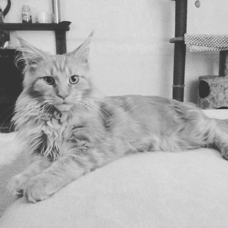 Eddie also looks handsome in black & white.