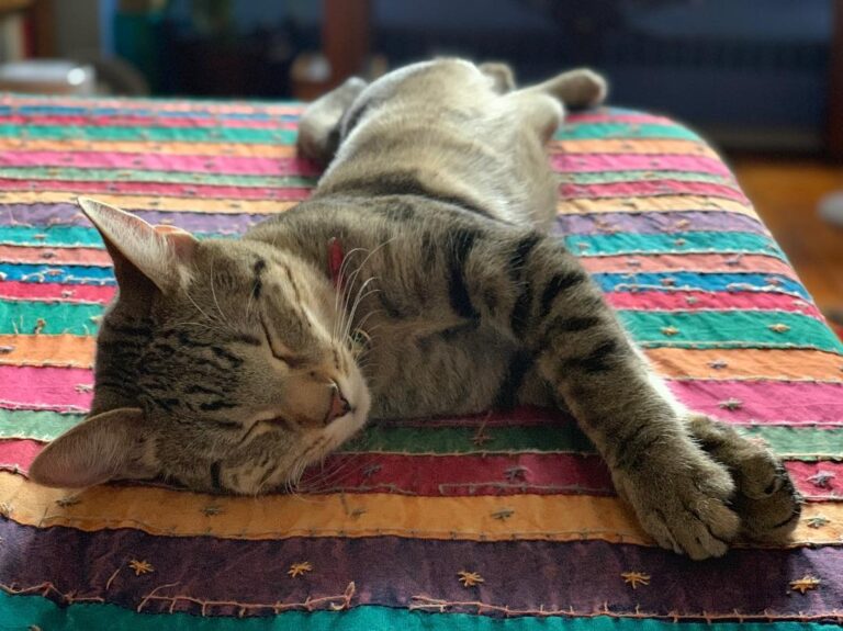 Even in my sleep, I stay fit. Stretch, baby, stretch! .