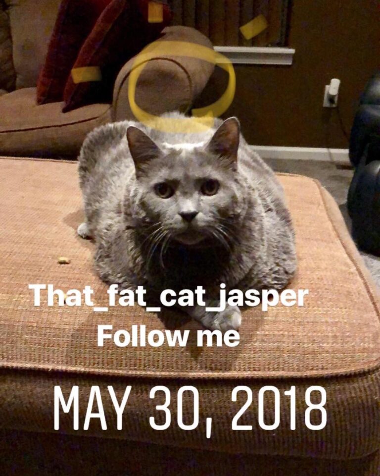 Follow me.