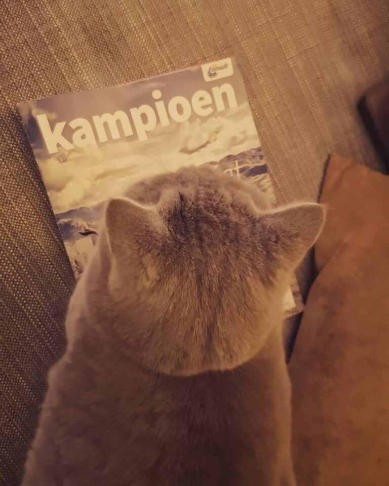 Got my own magazine! . .