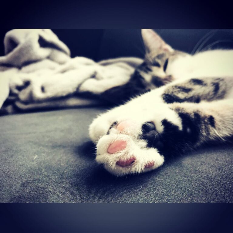 Gute Nacht