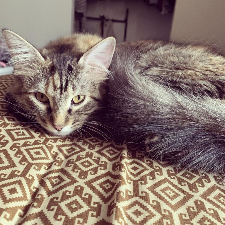 Have you ever seen such a majestical beautiful little angel? I love