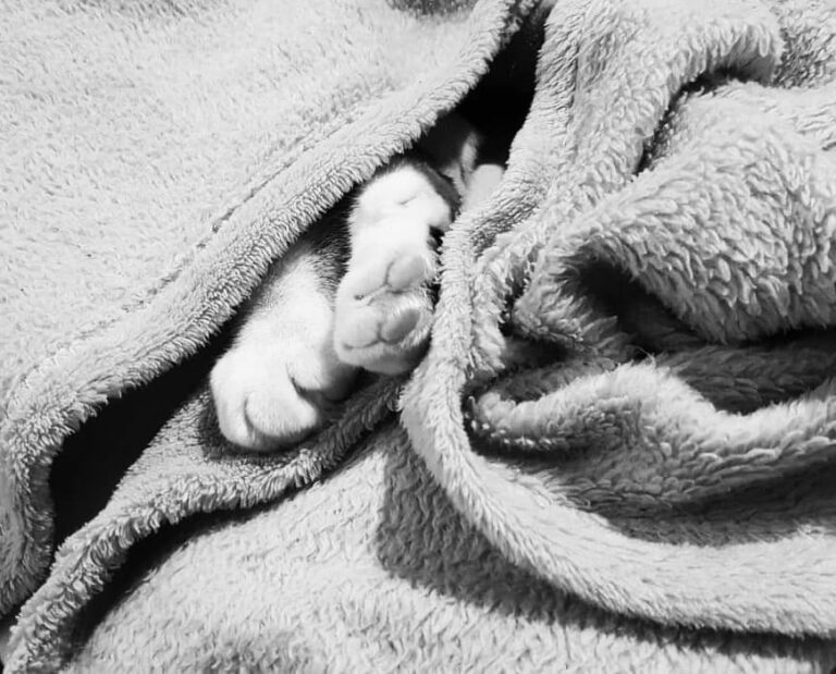 He’s in there somewhere