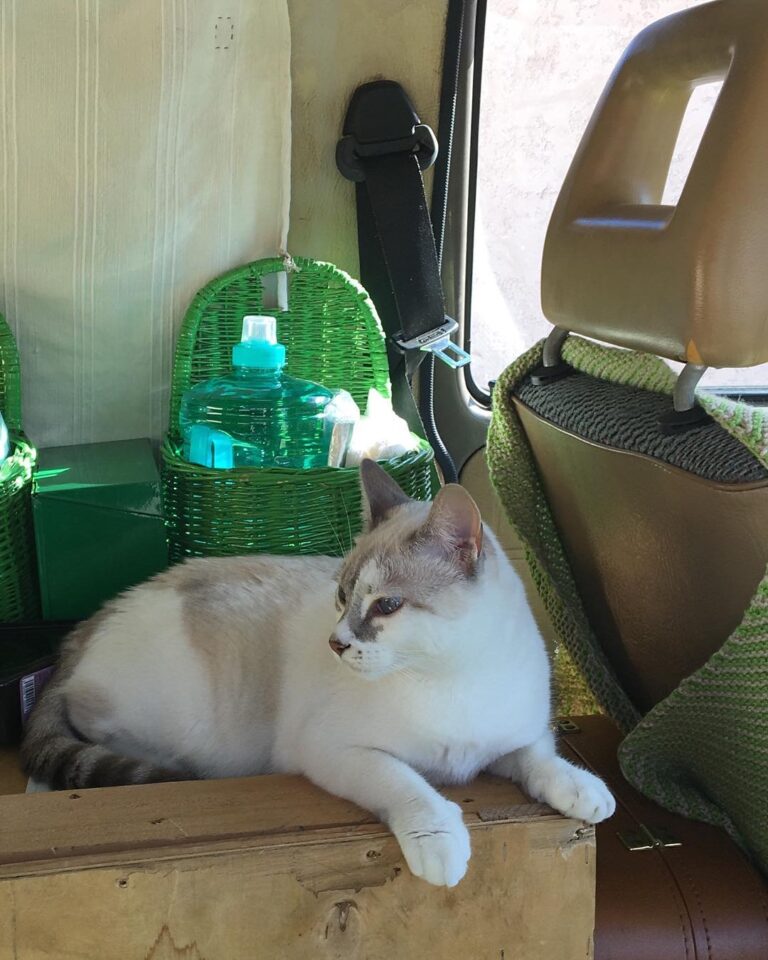 Holli Day made her first short trip to Villena and Alcoy. Not really