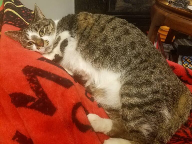 “I can’t believe you left me for a whole week, mom!” . . . . .