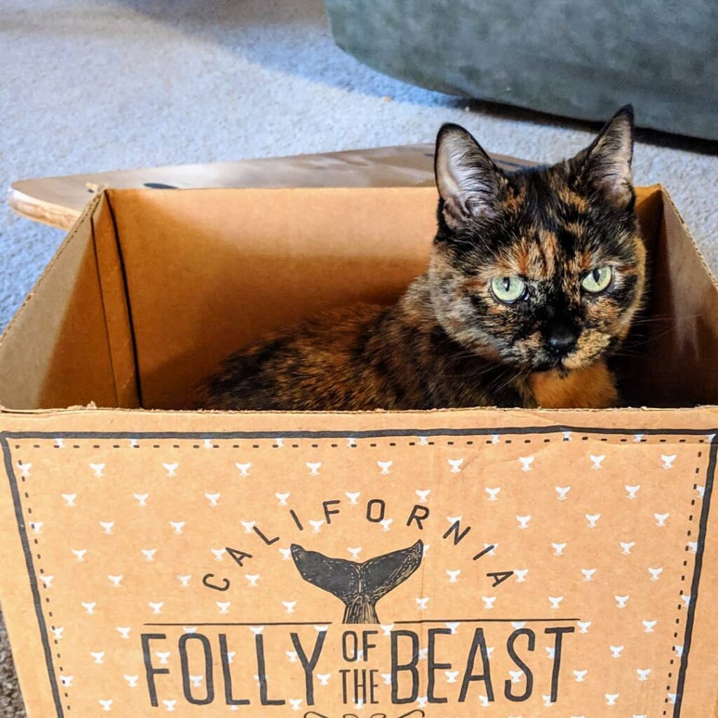 I found a fitting box to roost in.