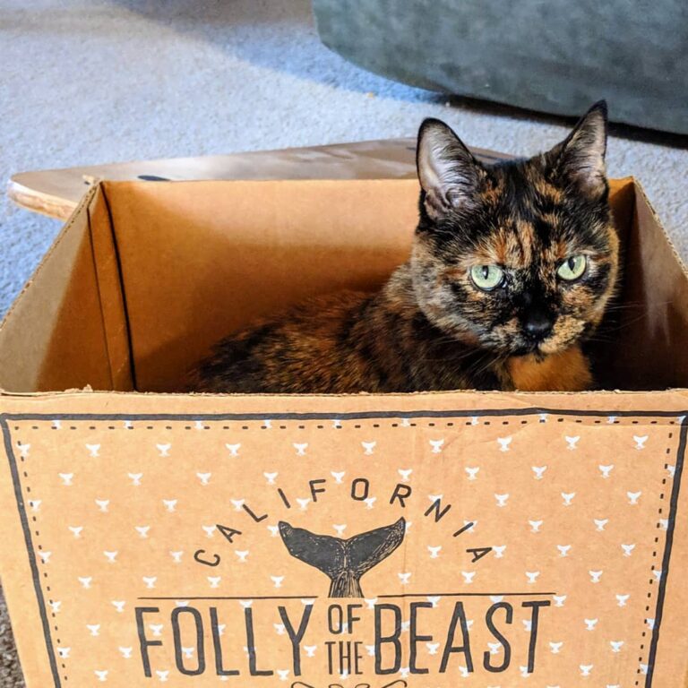 I found a fitting box to roost in.