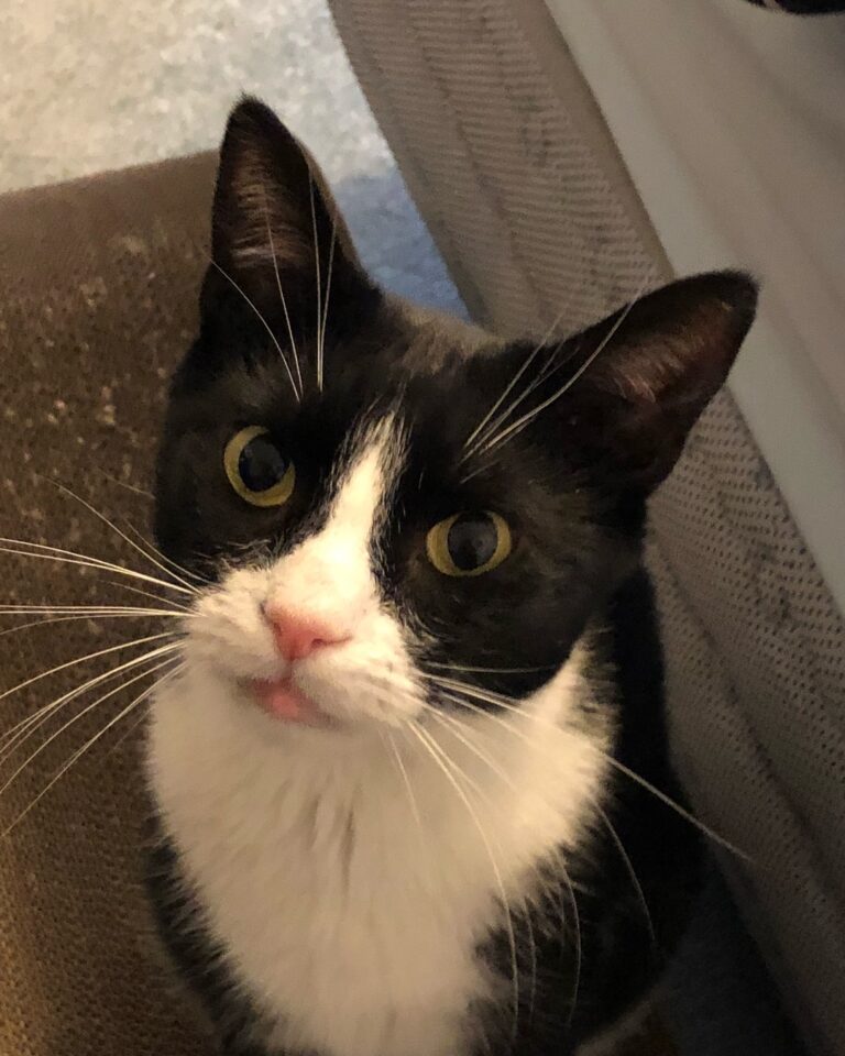 I know I’m biased because he’s mine but LOOK AT THIS FACE!!!