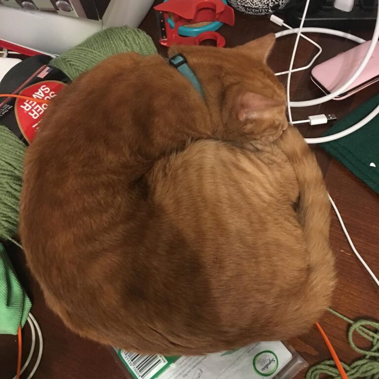 I’m sleeping comfortably, rolled-up next to my favorite thing to