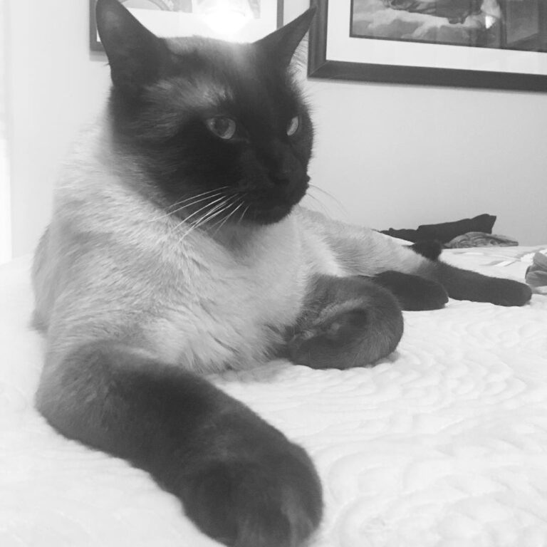 I’m such a babe check me out; this is 2 mins before Stella bit me