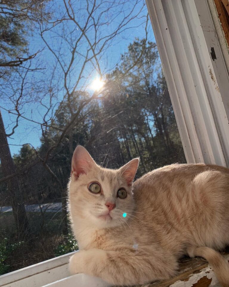It’s all sunshine