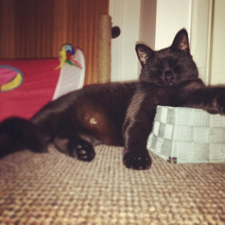 Just another normal sleeping position