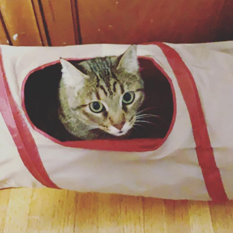 Just popping up to say hello! • • • •