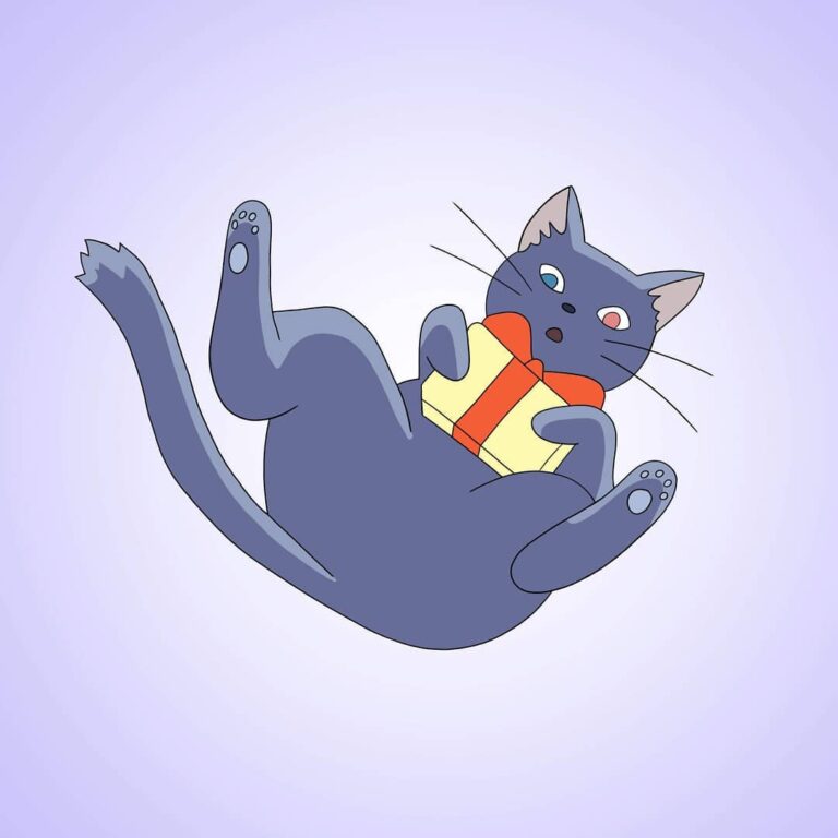 Lil’ Lune He’s such a cutie. I’ve always had a soft spot for cats