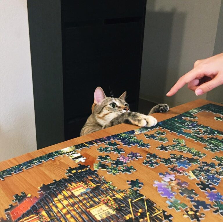 Little helper