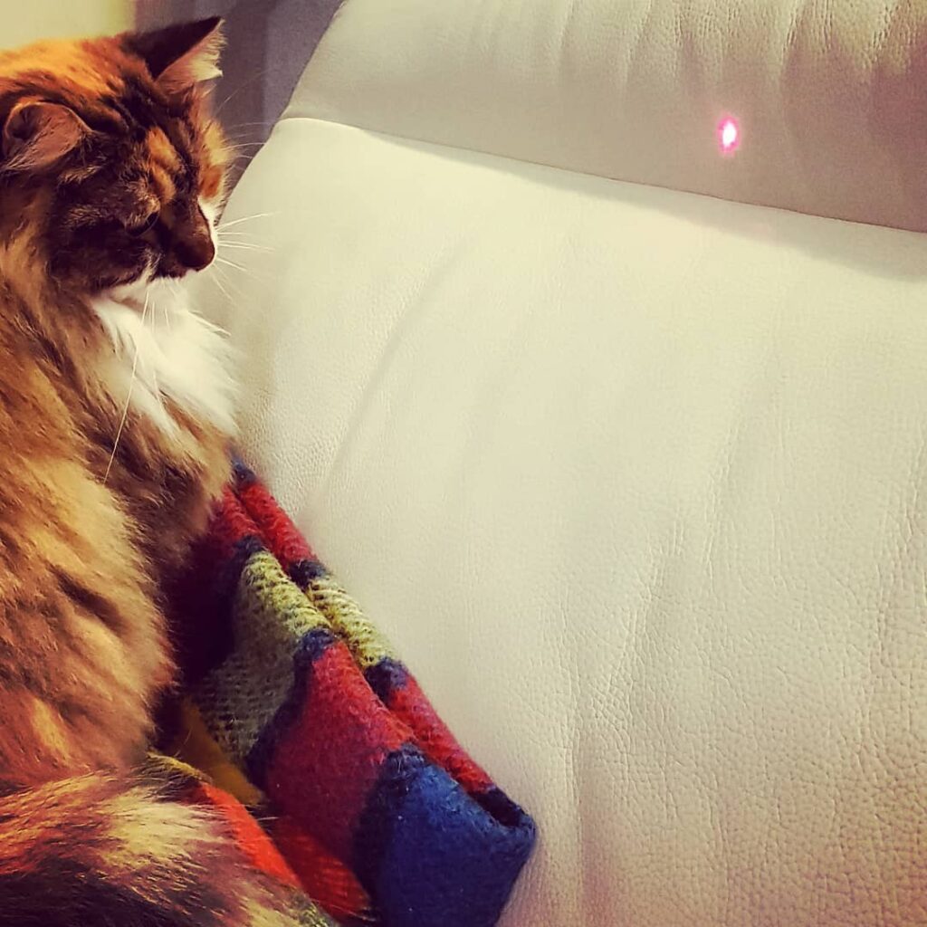 Macchia e la luce.