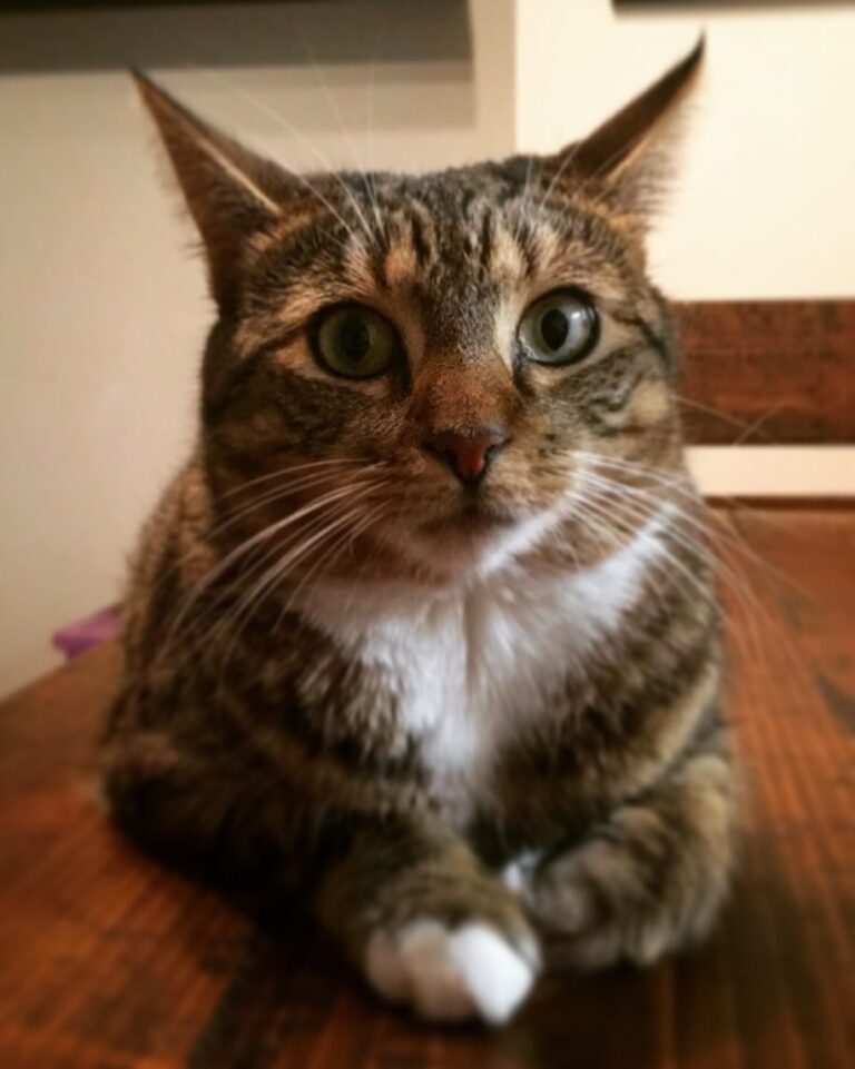 May I help you?