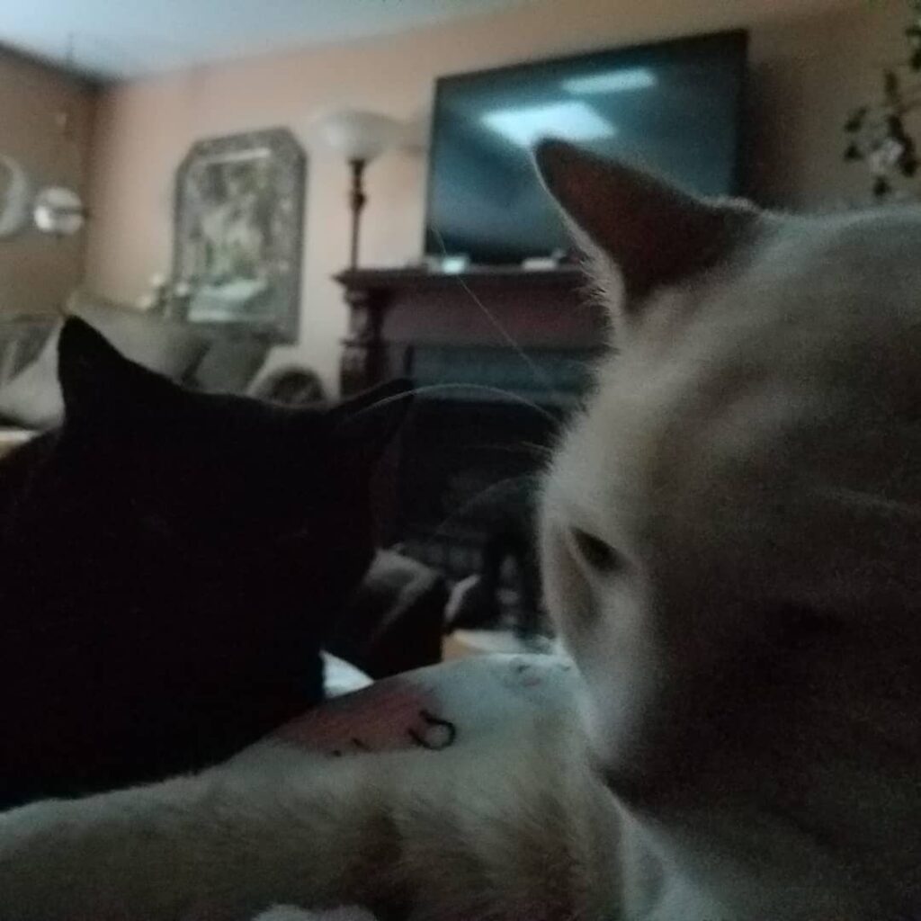 Me and my bro please?