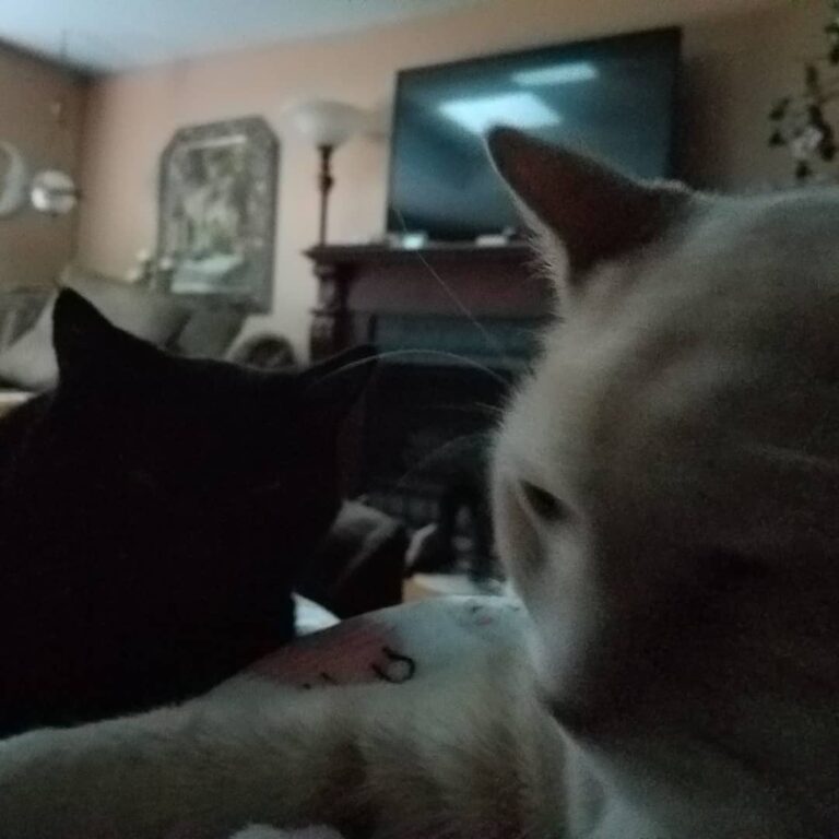Me and my bro please?