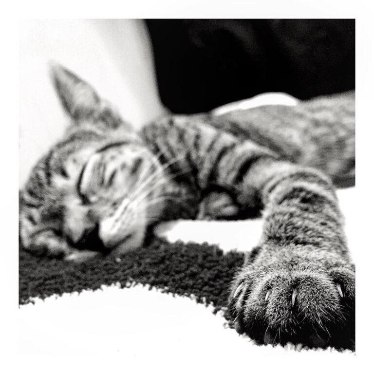 Me quedé dormida esperando la manicura que “mamá me haría”. ¡Que