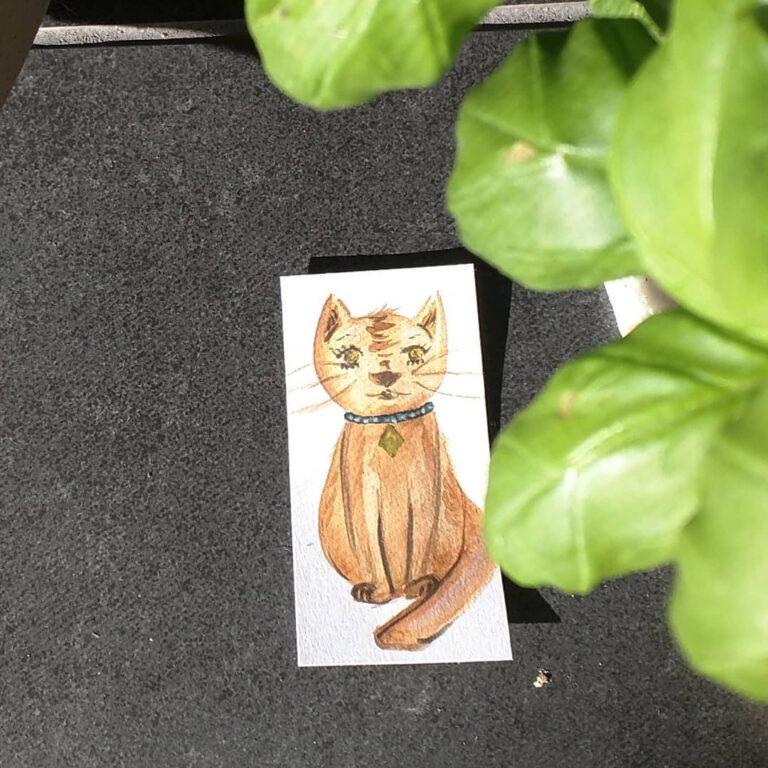 Meow. . . . .