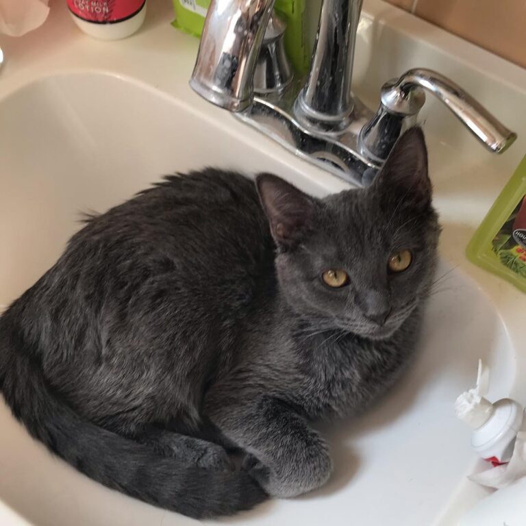 Momma R needs to wash her hands, but I’m too comfortable • • • • • •