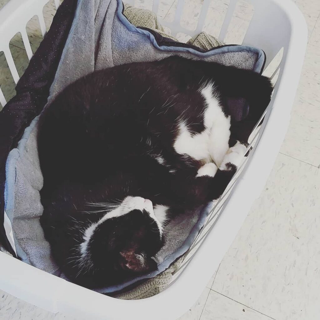 My coworker really is not pulling his weight today