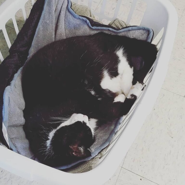 My coworker really is not pulling his weight today
