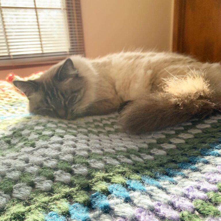 My girl knows what to do on a sunny afternoon.