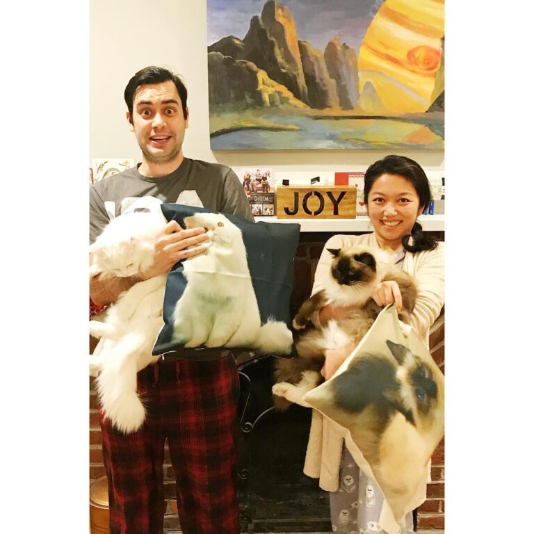 Our family portrait attempt with cats and their matching pillows that