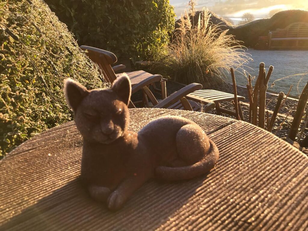 Our little “cool cat” enjoying the sunshine!