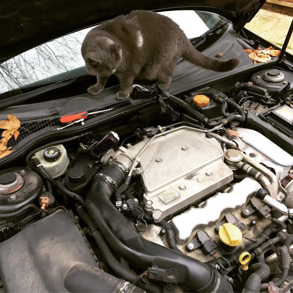Pablo giving me a hand with a spark plug change . . . . . . . . . . .