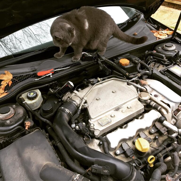 Pablo giving me a hand with a spark plug change . . . . . . . . . . .