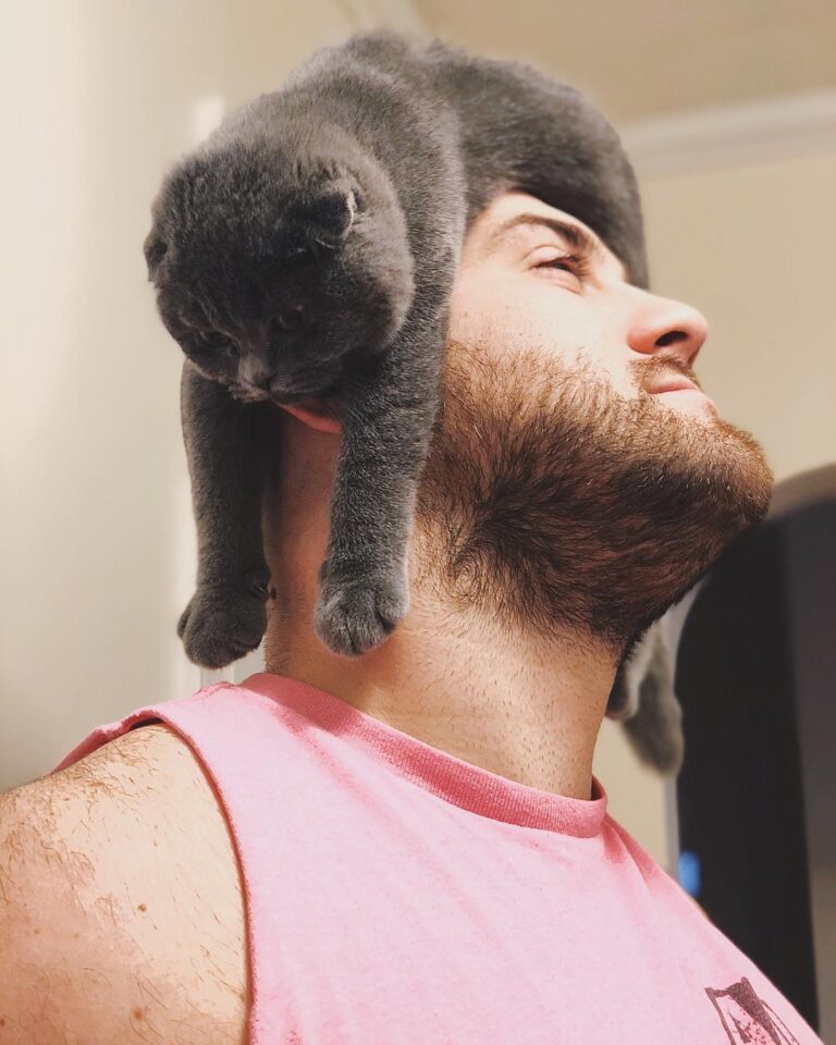 Pawpaws cat as a hat!
