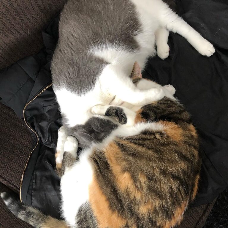 Pink and Floyd. Sister and brother love. Nice way to spend a Saturday