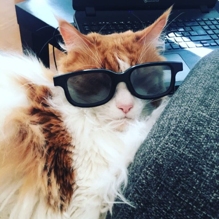 Ready For Summer