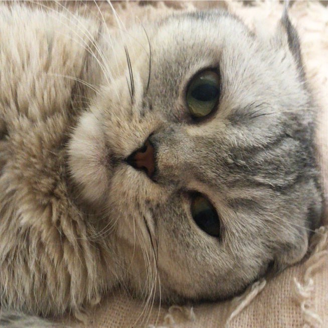 Ready for her closeup